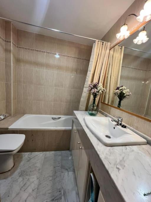 Apartamento Enriqueta Lozano Granada Esterno foto
